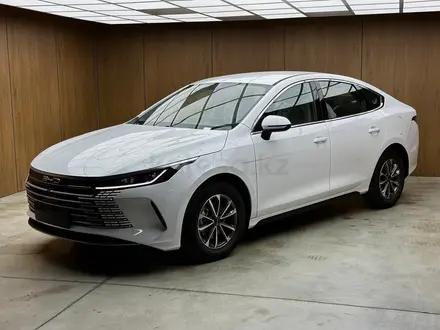 BYD Destroyer 05